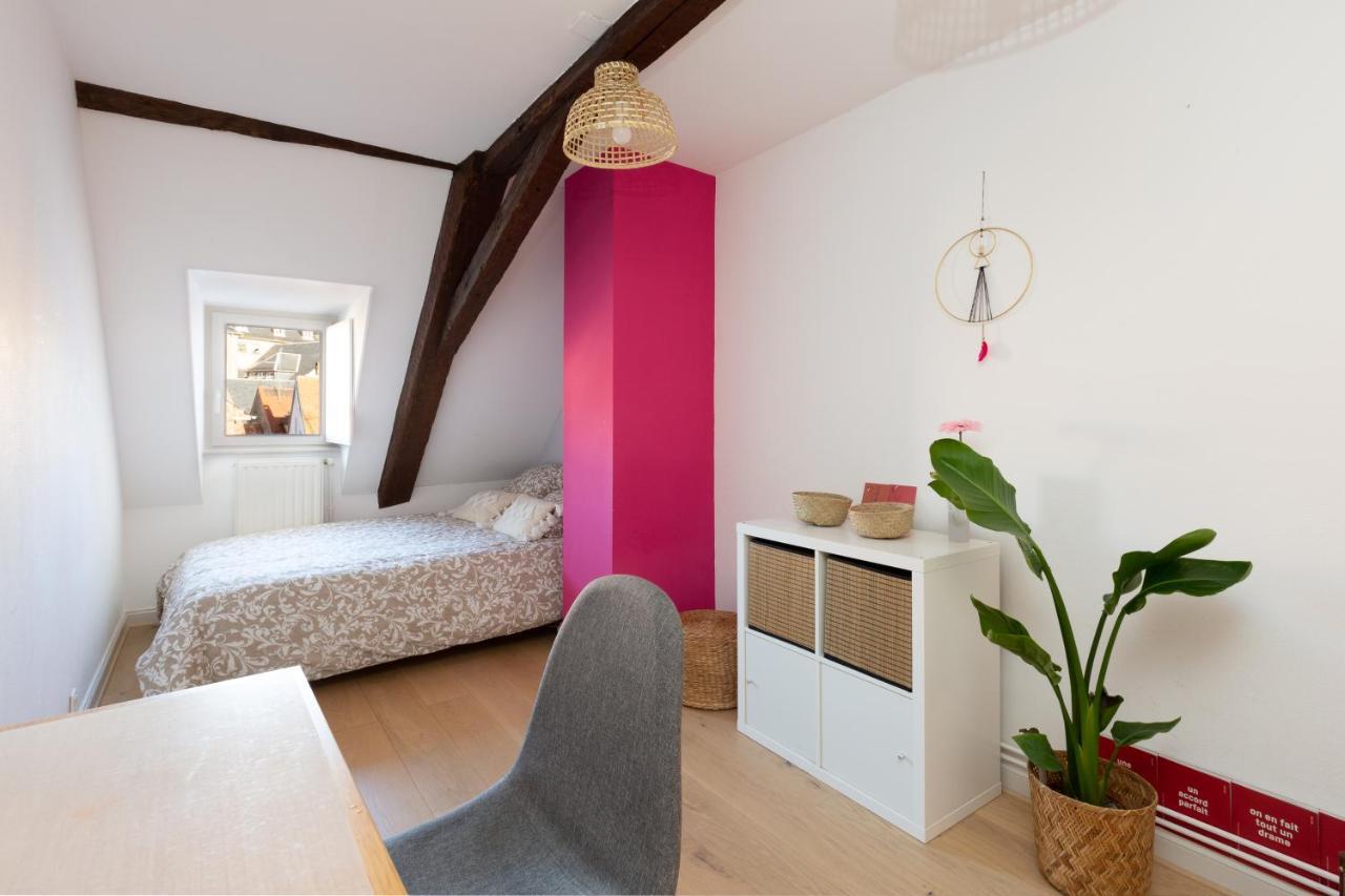 Petite France-Cathedrale, Duplex 100M2- 3 Chambres Estrasburgo Exterior foto